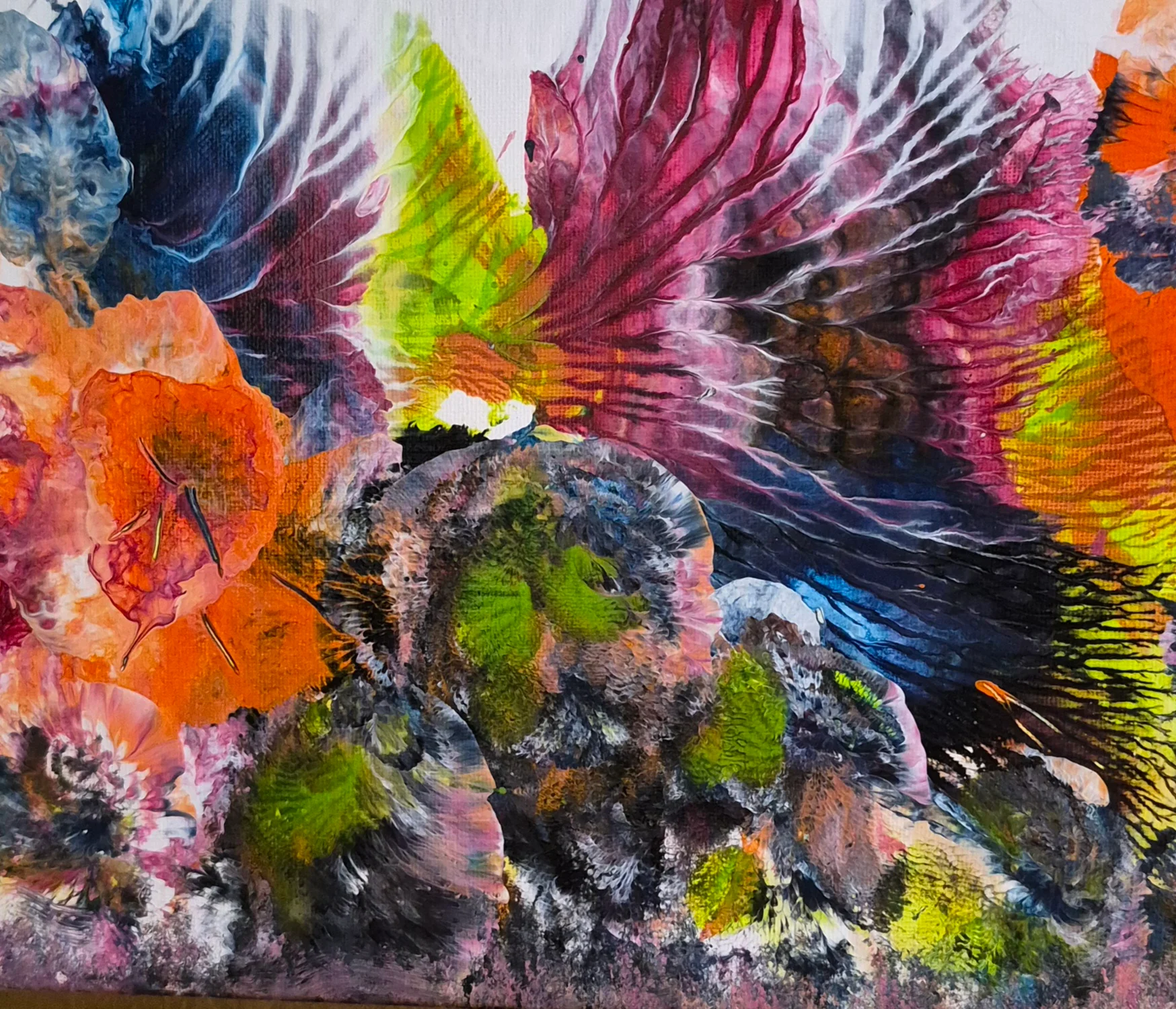 Wings of Color